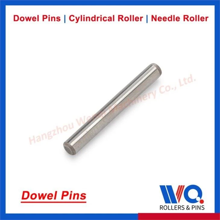 Bioráin Dowel 7mm